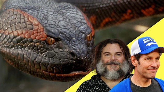 jack-black-and-paul-rudd’s-anaconda-reboot-sounds-bad